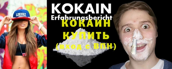 шишки Белокуриха