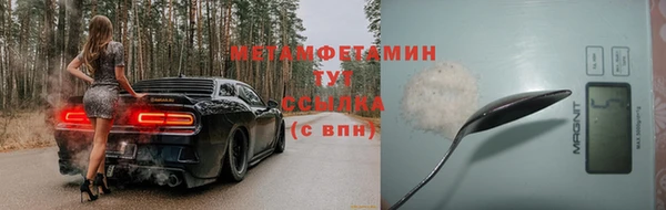 шишки Белокуриха