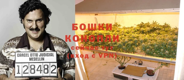 шишки Белокуриха