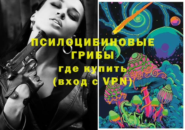 шишки Белокуриха