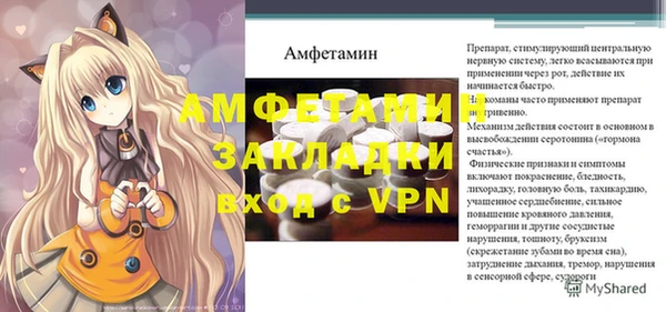 шишки Белокуриха