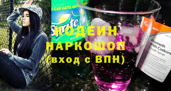 шишки Белокуриха
