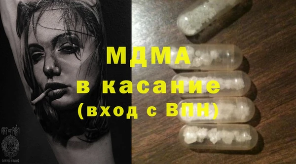 шишки Белокуриха