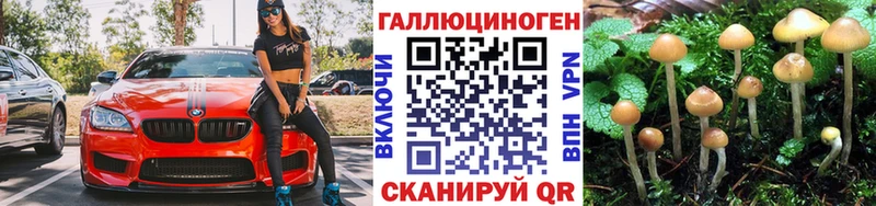 KRAKEN ссылка  Чудово  Галлюциногенные грибы мухоморы  где купить  